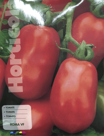 tomate roma vf